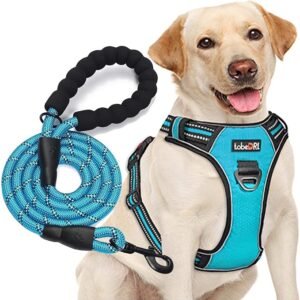 TobeDRI, dog harness, Blue TobeDRI no-pull reflective dog harness for medium and large dogs with a 5-foot leash included.