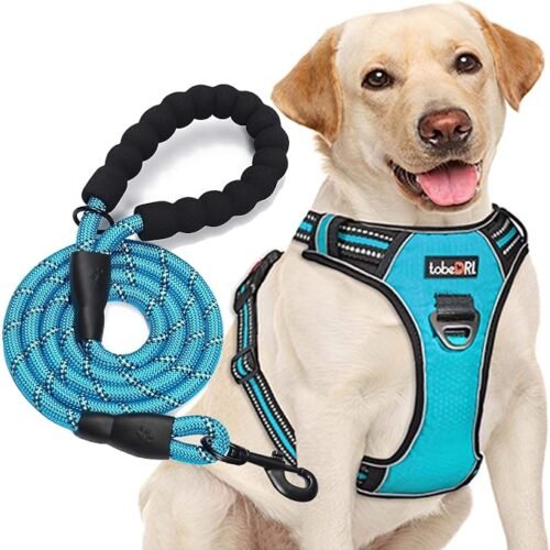 Blue TobeDRI no-pull reflective dog harness for medium and large dogs with a 5-foot leash included.